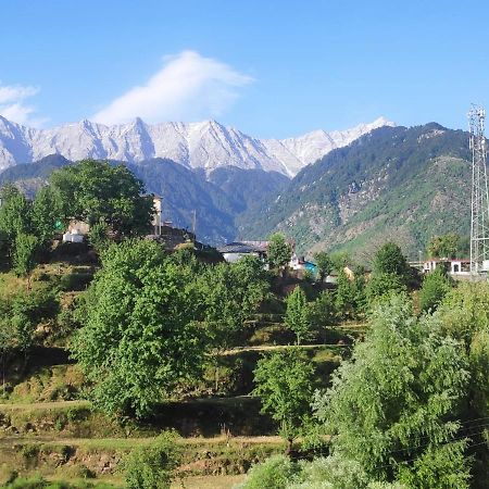 Mcleodganj Diaries Panzió Dharamszala Kültér fotó