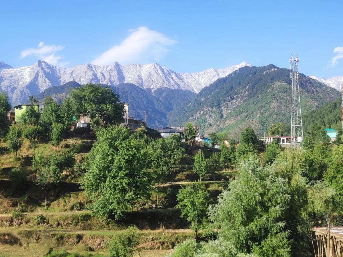 Mcleodganj Diaries Panzió Dharamszala Kültér fotó