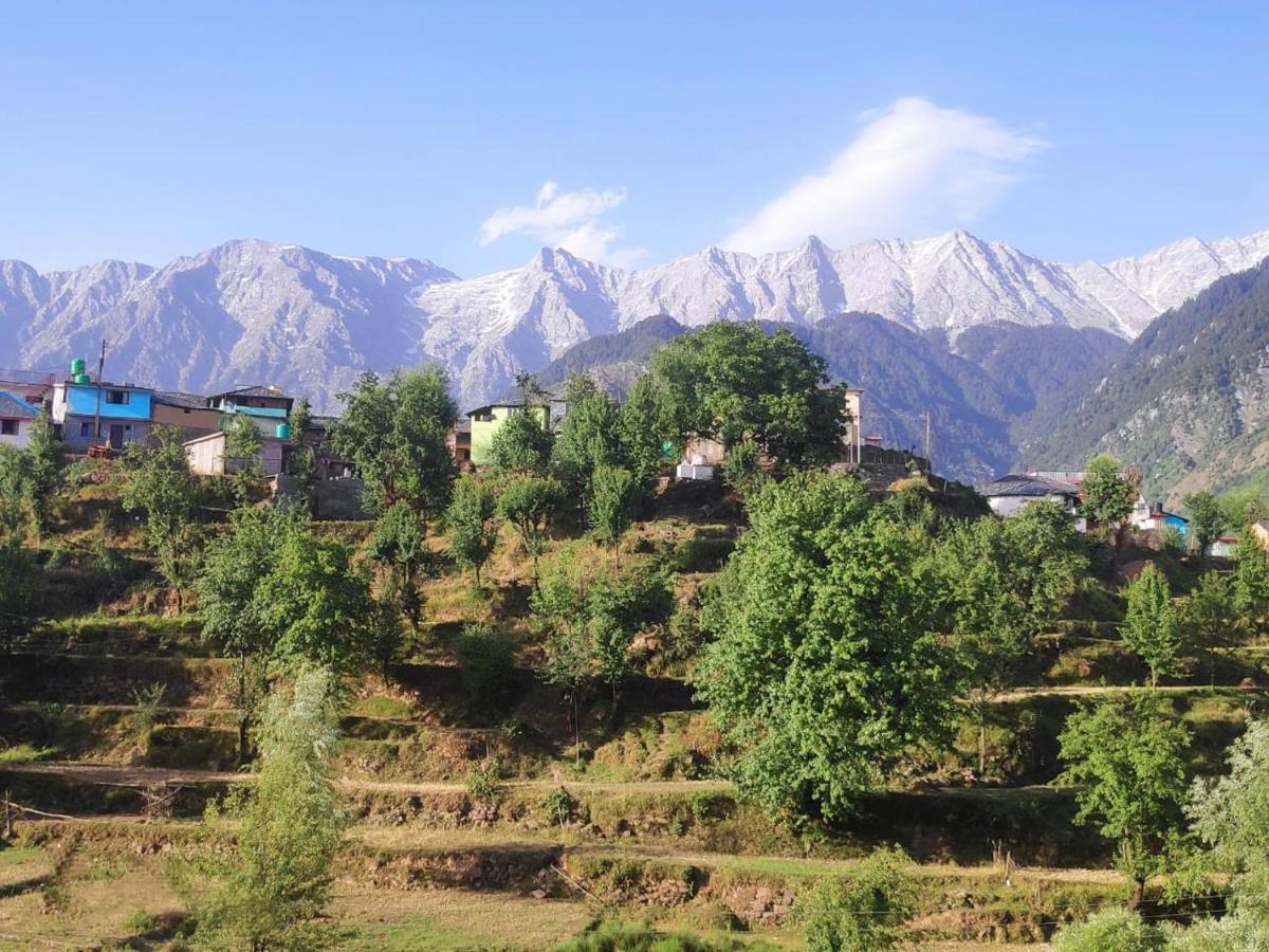 Mcleodganj Diaries Panzió Dharamszala Kültér fotó